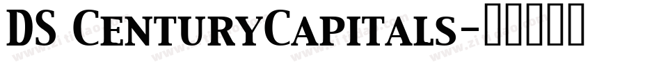 DS CenturyCapitals字体转换